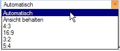 formatfaktansicht