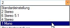 formatfaktaudiokanal