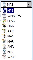 formatfaktformat