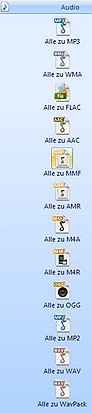 formatfaktaudio
