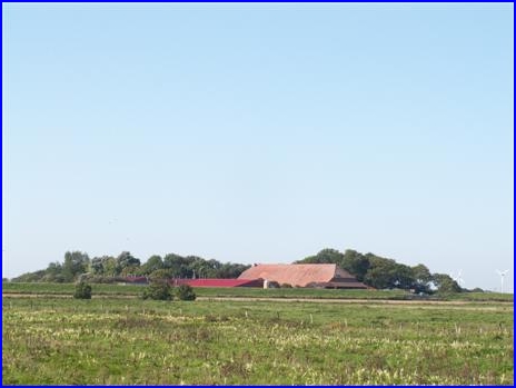 ankueste