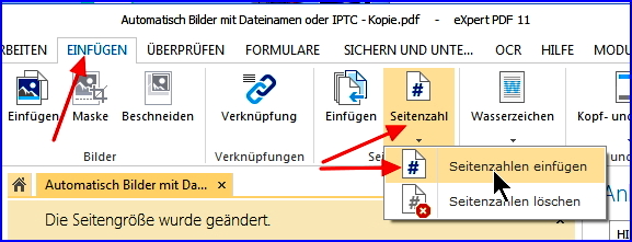 08 expertpdf paginierung aufrufen