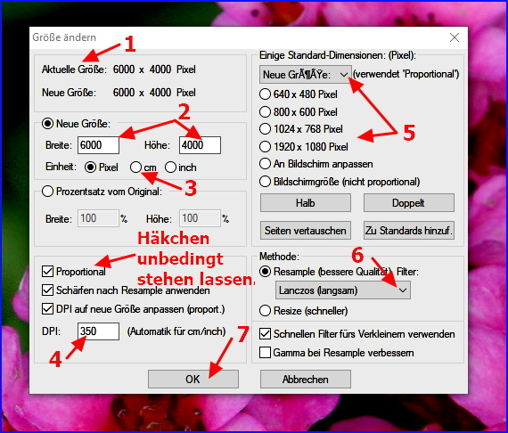 001 bilder mit irfanview skalieren
