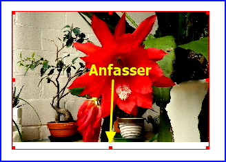 013 scribus bildanfasser 1