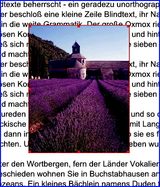 037 scribus bild im text