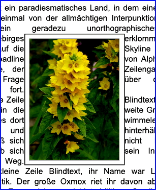044 scribus textfluss um bild rahmen fertig