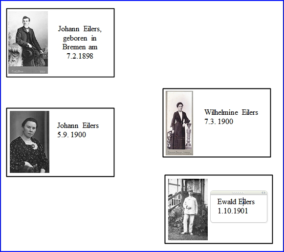 048 scribus ahnenkärtchen