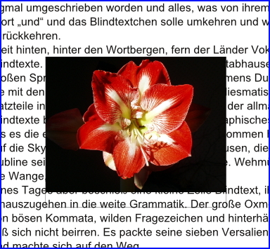 075 scribus ebenen bildkontur