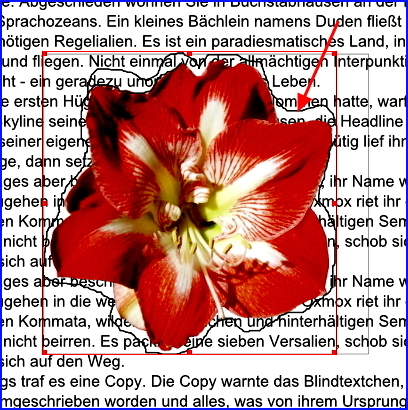 078 scribus ebenen blüte freigestellt kontur