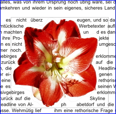 081 scribus ebenen blüte freigestellt textumfluss